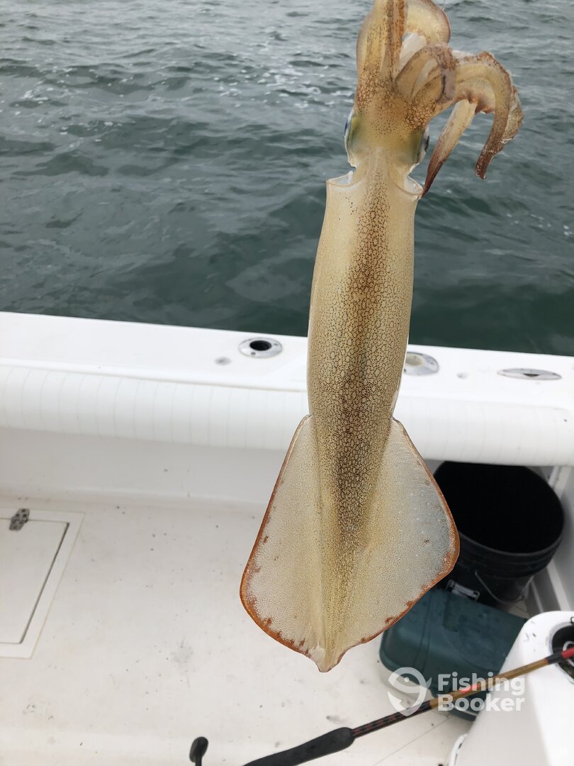 Bourne Report Photo 0