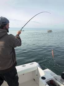 Another Great Day Squid Fishing