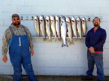 Our catch May 7th, 2018