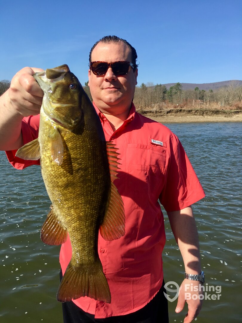 Harding Report Photo 0