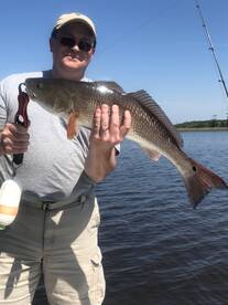 Mount Pleasant Report Photo 1