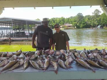 Conroe Report Photo 1