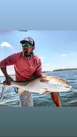 Strong bull redfish action
