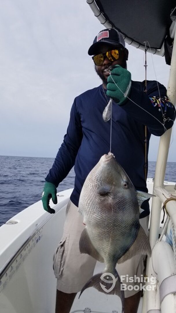 Jacksonville Report Photo 0