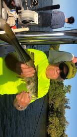 Sarasota Report Photo 1