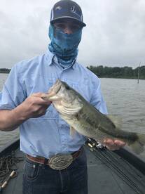 Sulphur Springs Report Photo 2