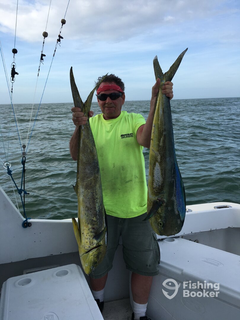 Norfolk Report Photo 0