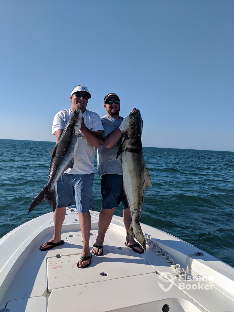 Manteo Report Photo 0