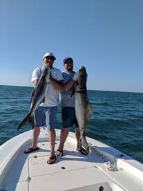 Cobia cobia cobia up to 70 pounds