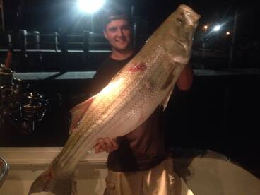 Bourne Report Photo 1