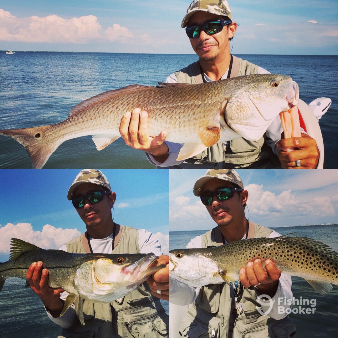 Tampa Report Photo 0