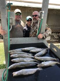 Port O'Connor Report Photo 2