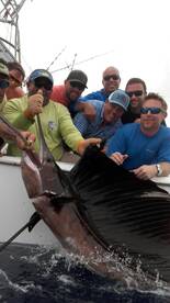 Quepos Report Photo 2