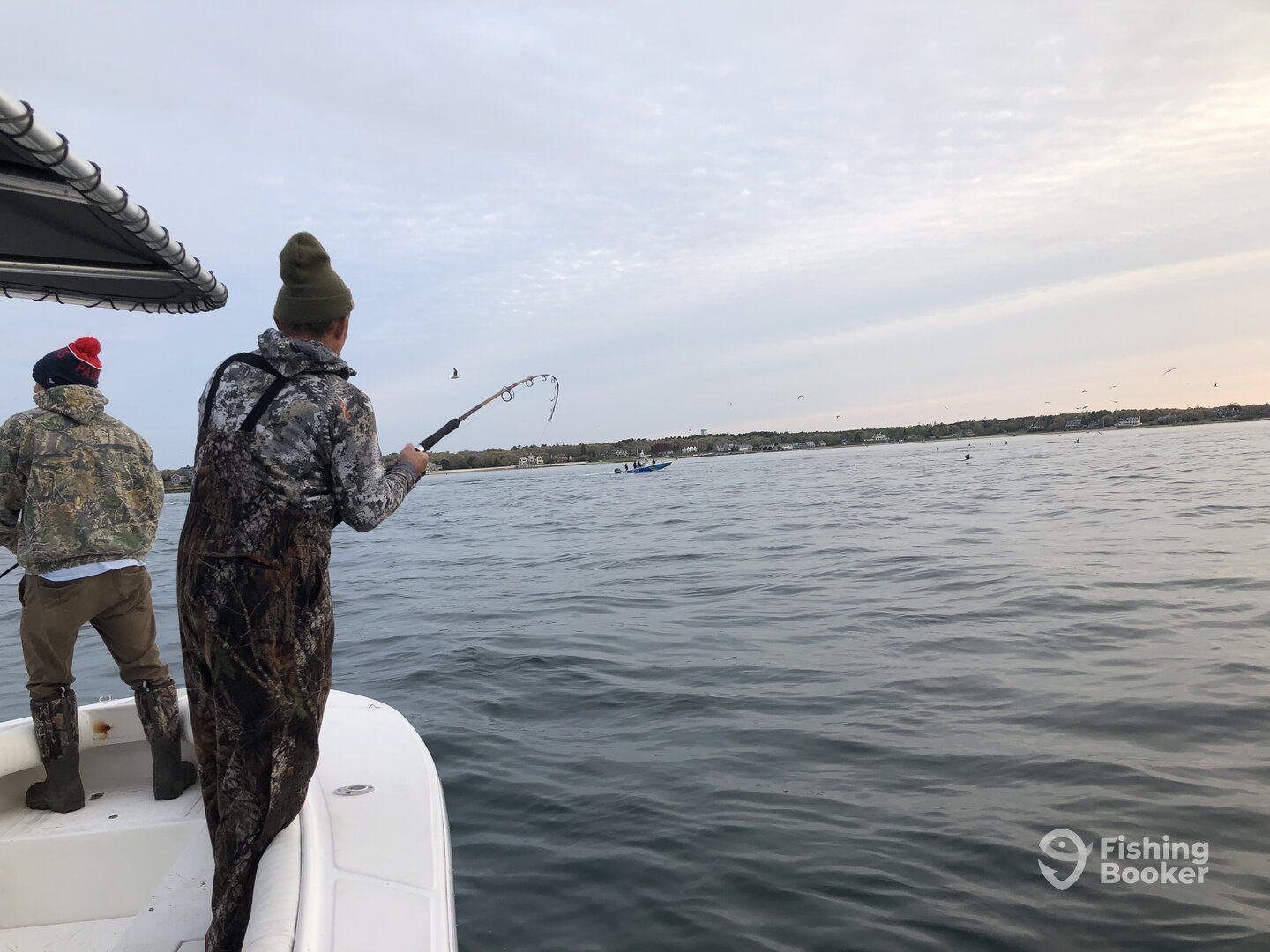 Bourne Report Photo 0