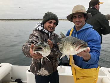 Bourne Report Photo 1