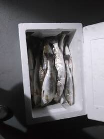 finished the night with 37 total