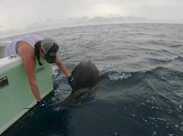 Quepos Report Photo 1