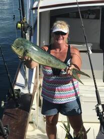 Mahi mahi mahi