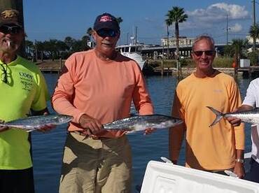 Kings and Spanish Along the Beach