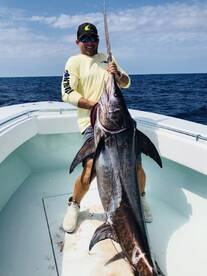 Daytime Swordfishing 