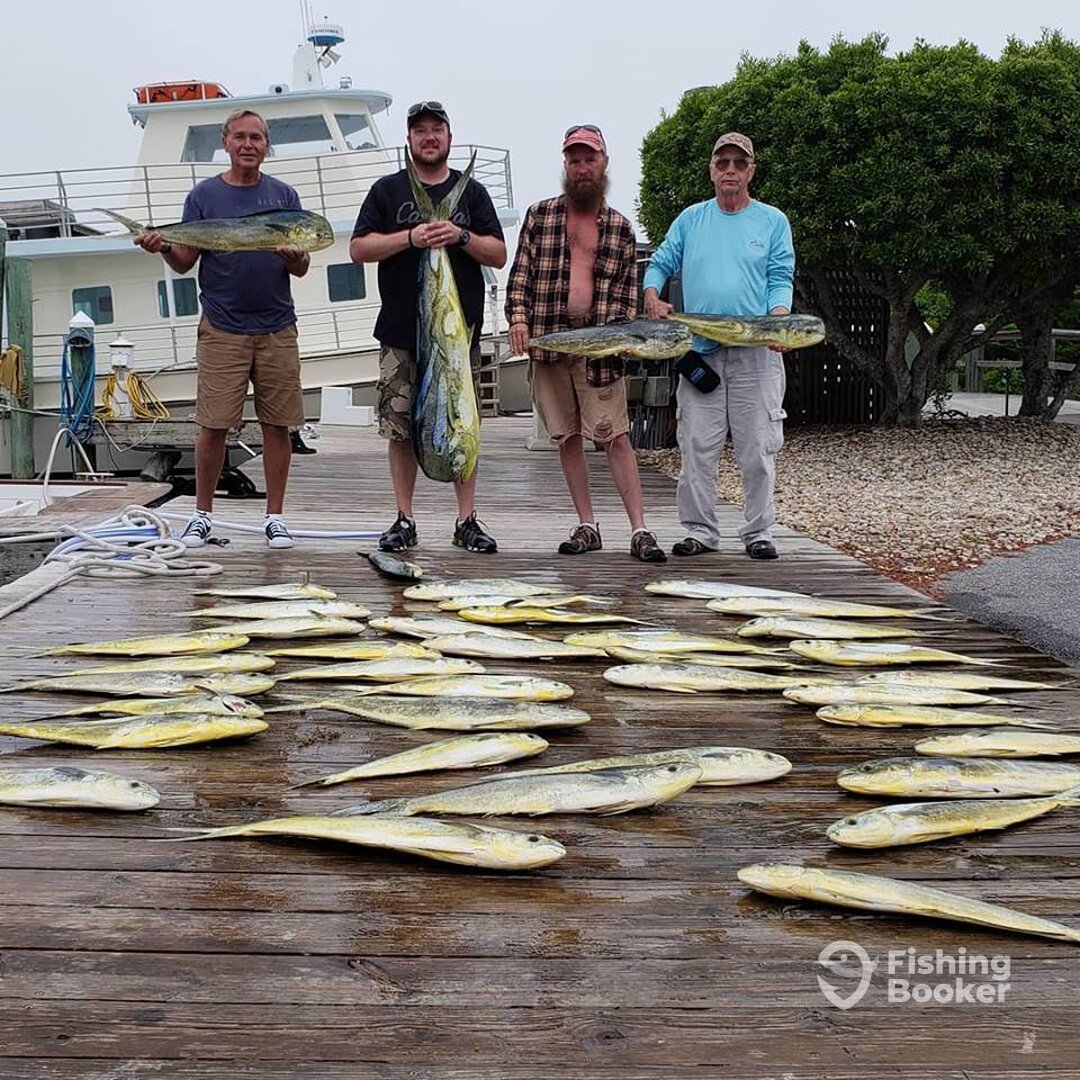 Manteo Report Photo 0