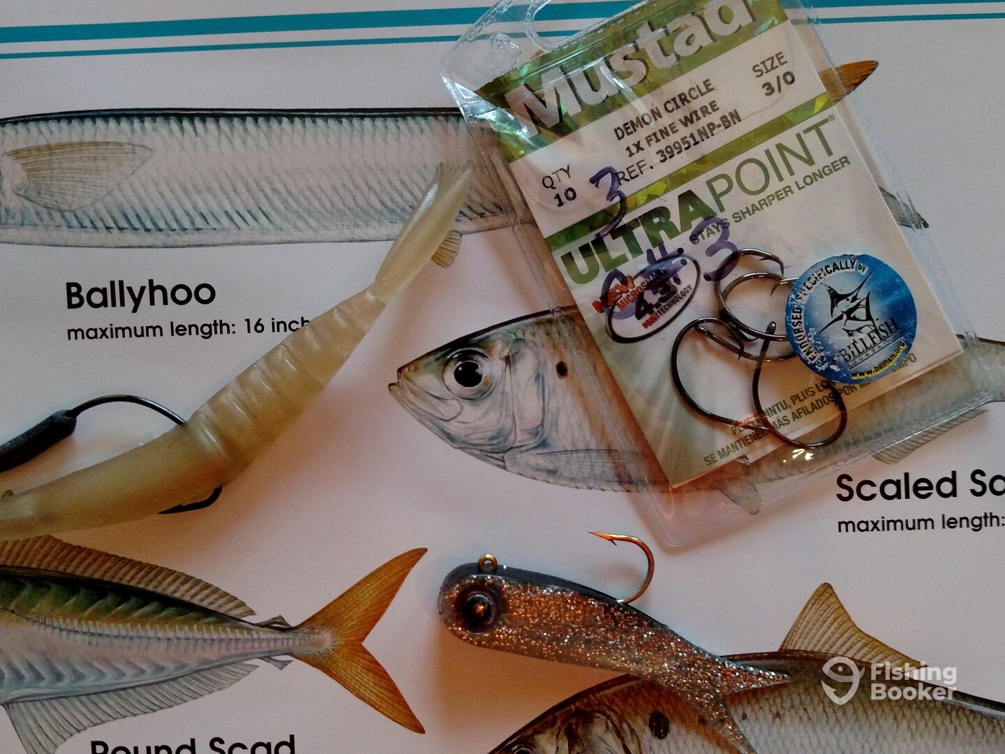 Monster 3x Shrimp, DOA Terroreyz, and Mustad 3/0 Circle hook. 