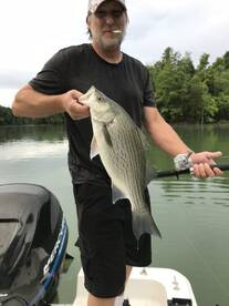 Rutledge Report Photo 1