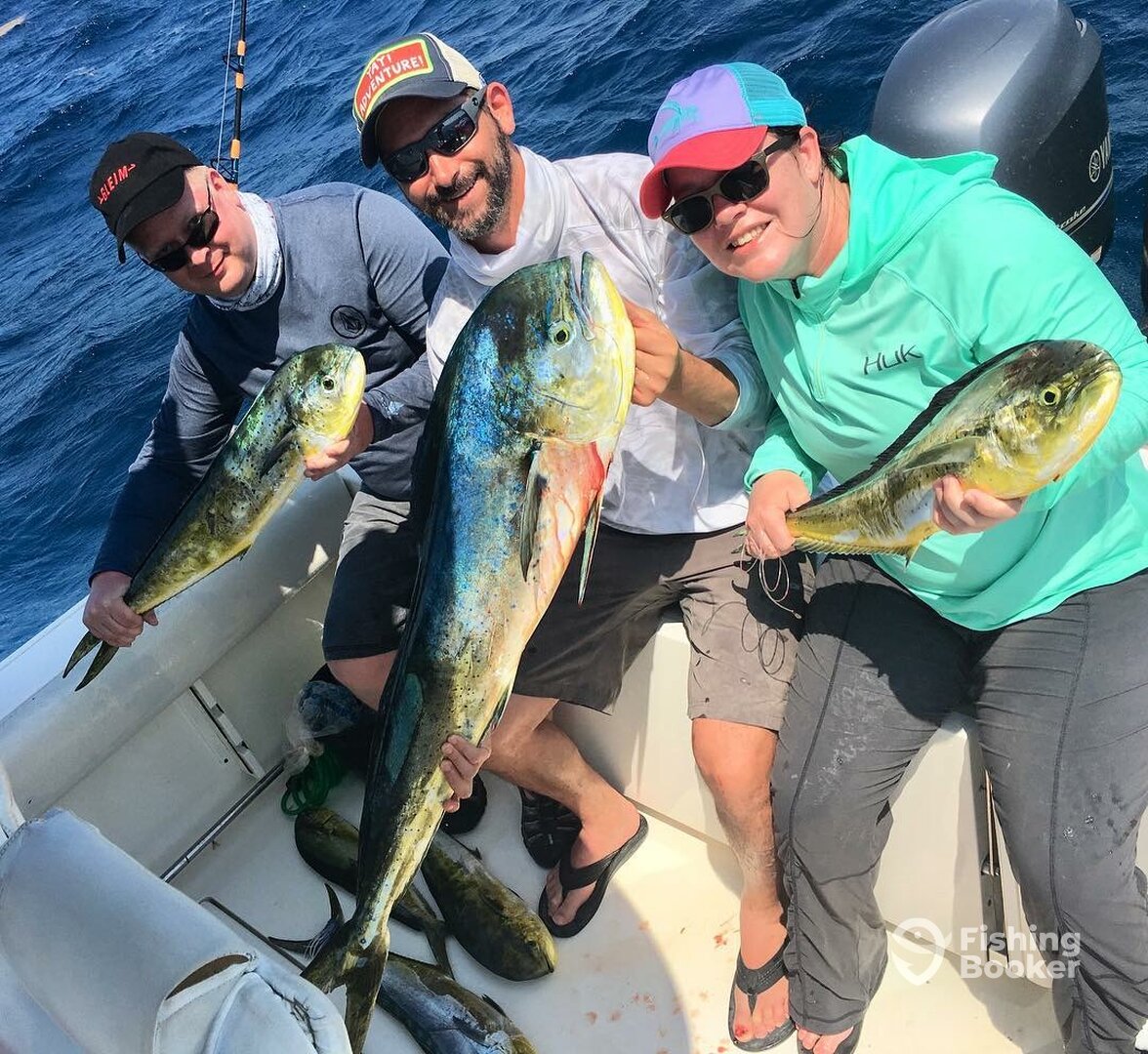 Puerto Aventuras Report Photo 0