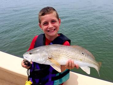 Surf City Report Photo 2