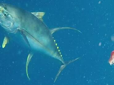 Sydney Report Photo 2