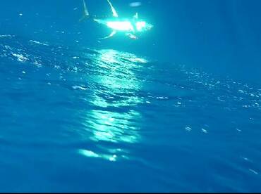 Sydney Report Photo 1