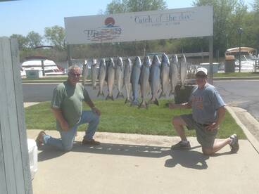 There are still plenty of Kings in St Jo