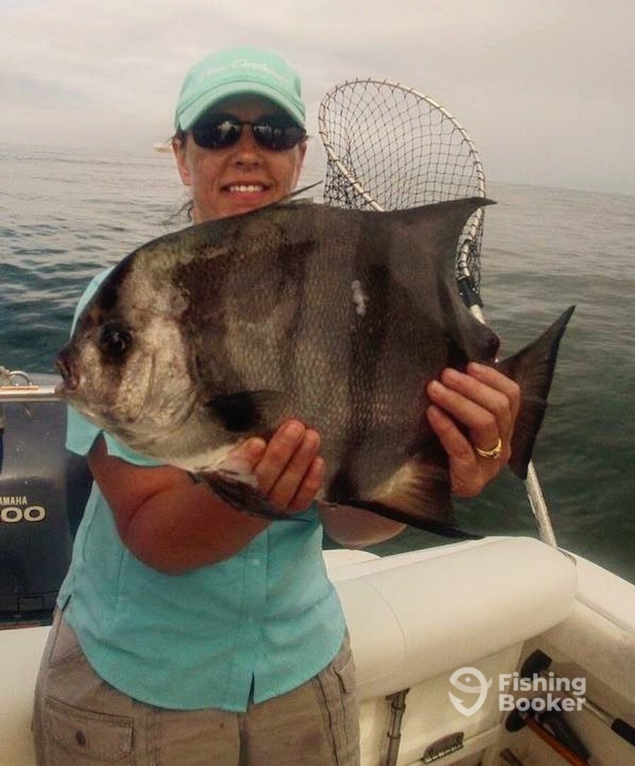 Virginia Beach Report Photo 0