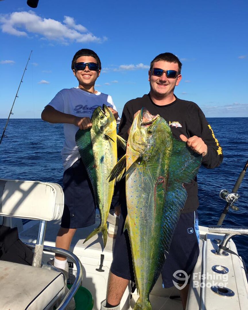 Cartagena de Indias Report Photo 0