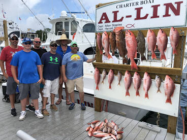 Snapper Day of Excellent fishing!