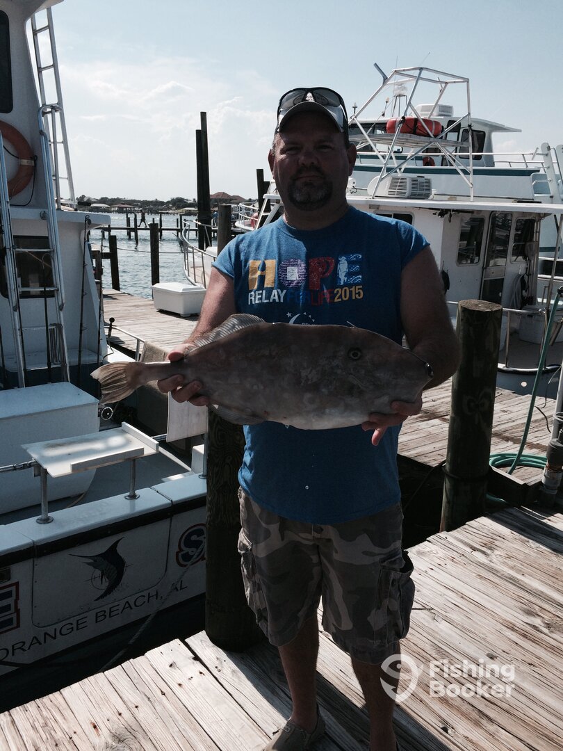 Orange Beach Report Photo 0