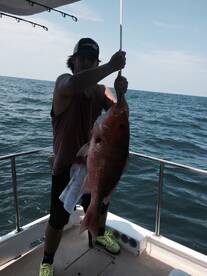 Real nice snapper released to catch another day!