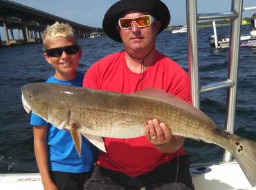 Destin Report Photo 1