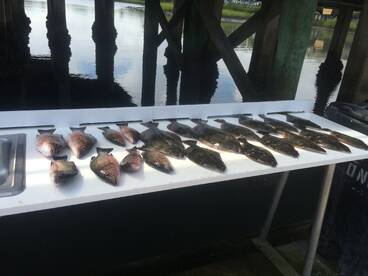 Flounder On Fire (Four Hour River (ICW)