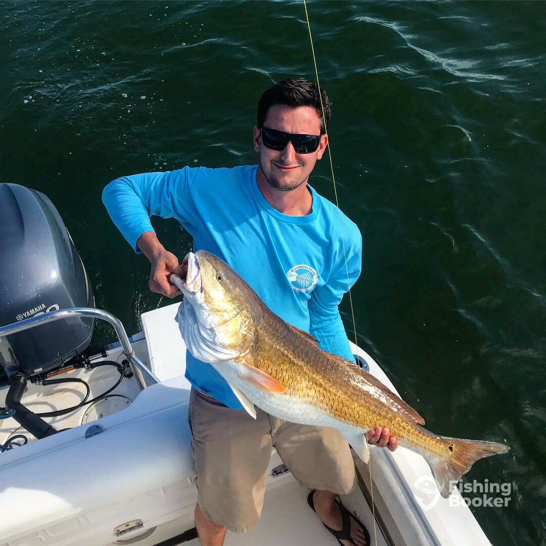 Virginia Beach Report Photo 0