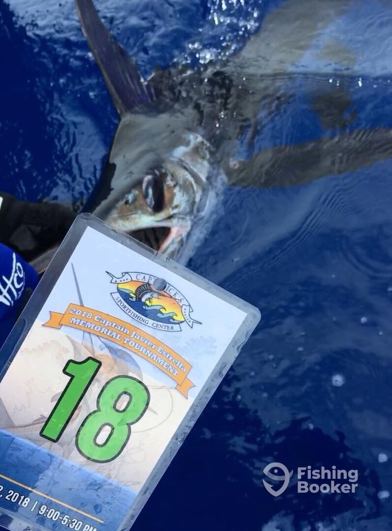 Puerto Aventuras Report Photo 0