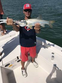 Sarasota Report Photo 1