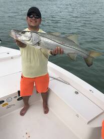 Sarasota Report Photo 2