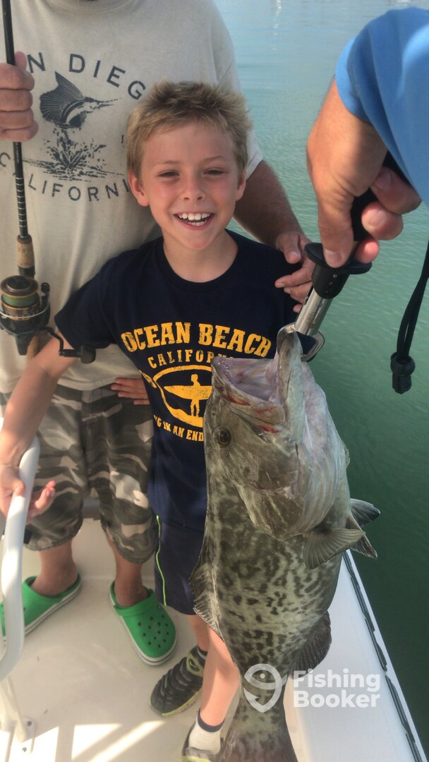 Clearwater Report Photo 0