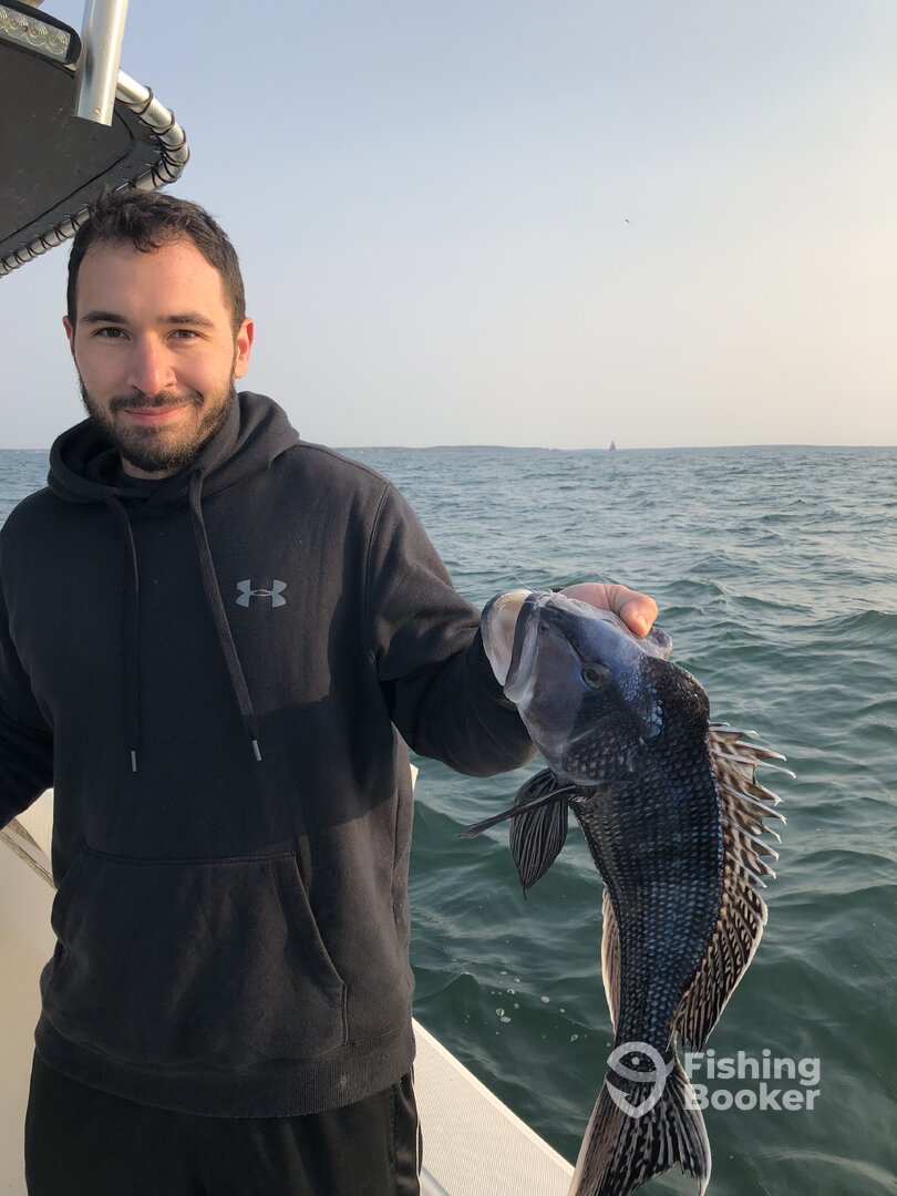 Bourne Report Photo 0