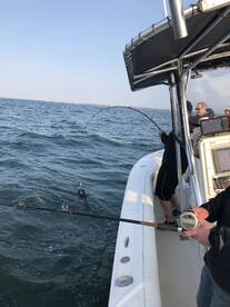 Bourne Report Photo 2