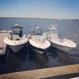 Bourne Report Photo 1