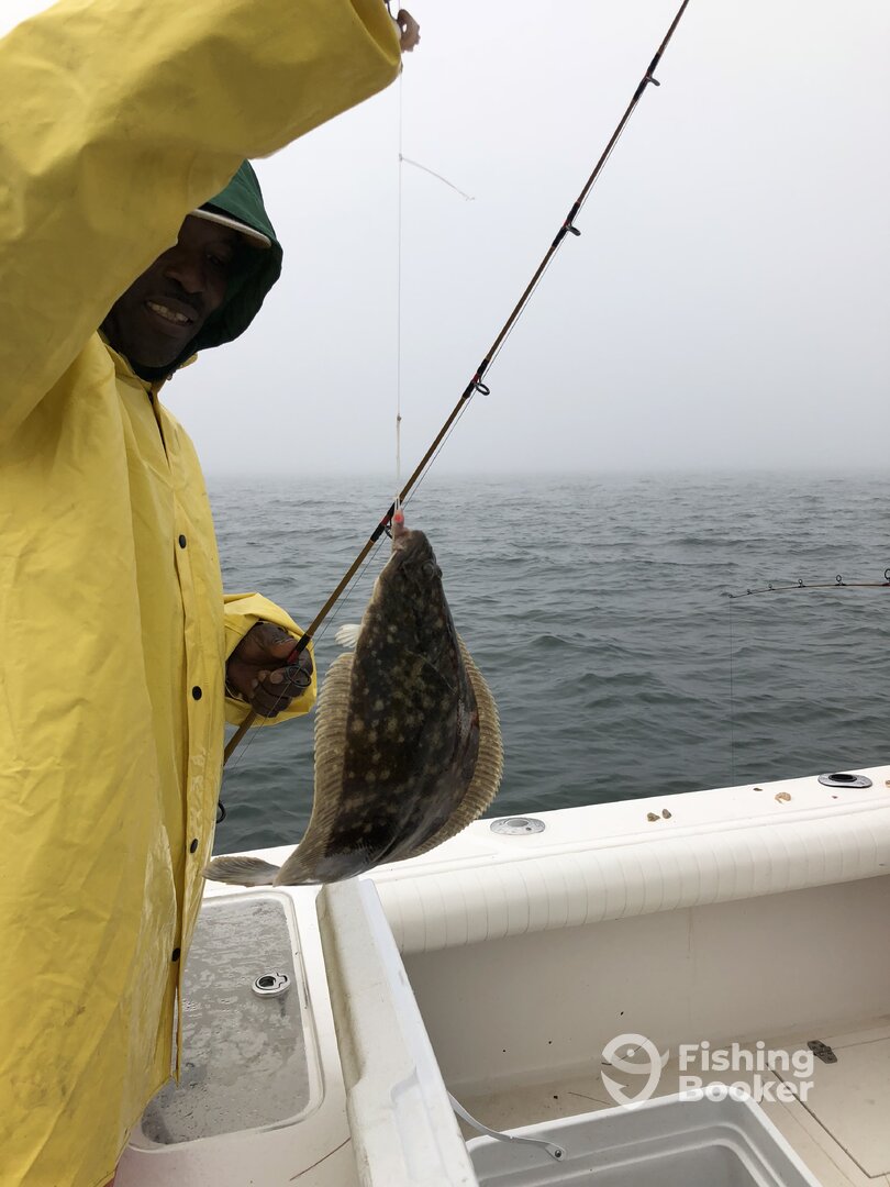 Bourne Report Photo 0