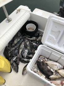 Bourne Report Photo 2