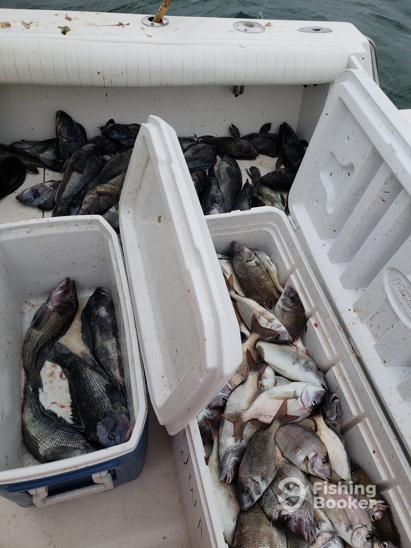 Bourne Report Photo 0